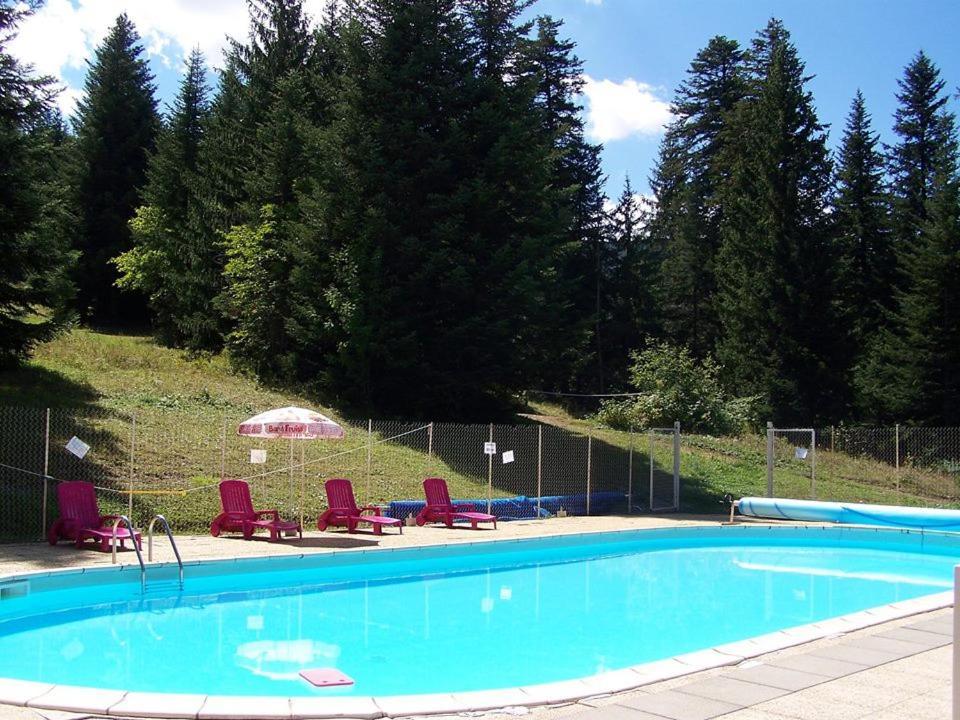Le Jas De L Ours - Chabanon Appartement Selonnet